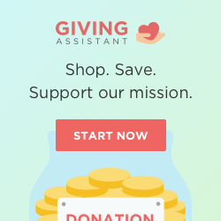 A donation button is shown on the giving assistant website.