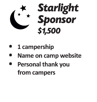 A poster with the words " starlight sponsor $ 1, 5 0 0 ".