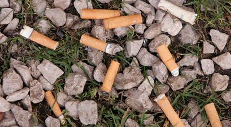 A pile of cigarette butts sitting on top of rocks.